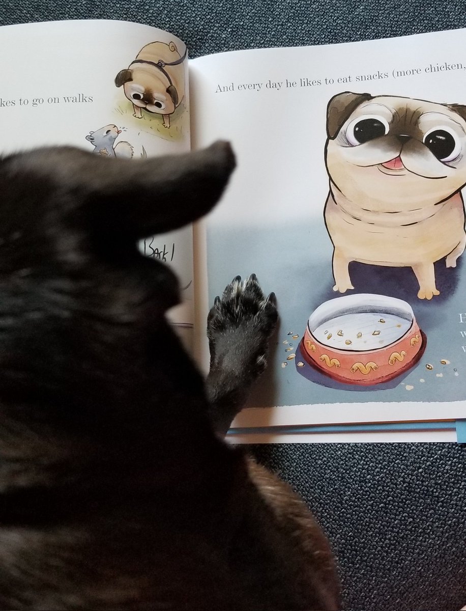 MisterPemberto1's tweet photo. A happy belated birthday to NOODLE πππ @jongraz We Luv your book my friend ππ₯°π #pug #puglife #pugs #pugsoftwitter #dogsoftwitter #pugbook #books #BookLover #Reading #dogbooks #tripawd #seniorpug https://t.co/mcybnGEOFJ