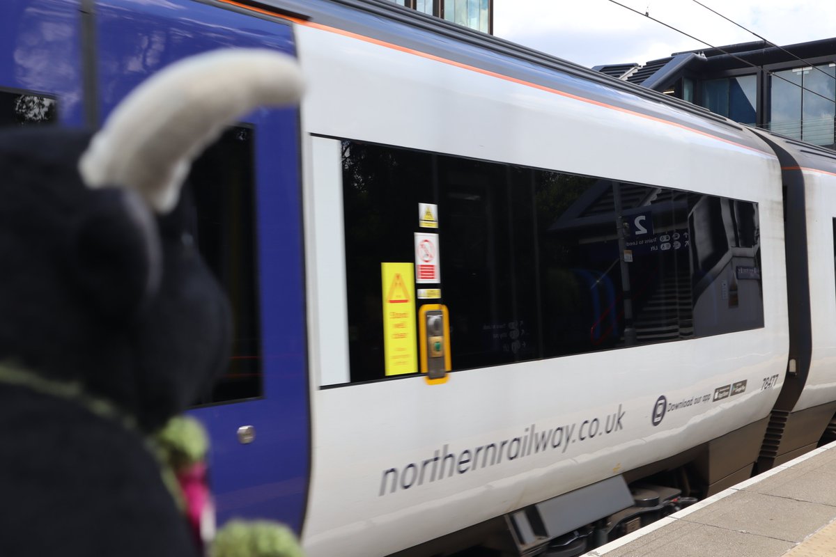 50TTDBradford's tweet photo. #Drifty'sTrainTours
We had a wonderful time at Kirkstall Forge for #RefugeeWeek2022. We would like to say thank you to all the attendees, staff and our partners. #50TTD #09MiniBeastsAndBugHunting #41WaterFeature https://t.co/GTPkS6pRv6