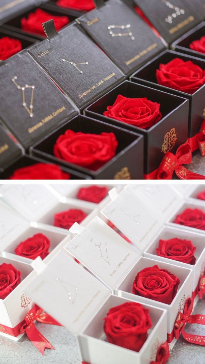 EternalRosesNY's tweet photo. This or that?  Which box color would you choose?  The black or the white?  Which makes more of a statement with #zodiaclovers?  Give us your opinion below ⬇️
#thisorthat https://t.co/XuPAM22H95