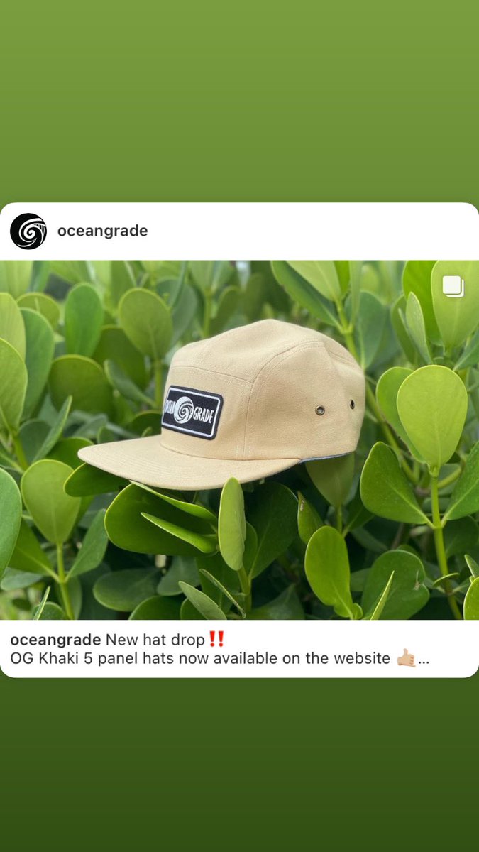 OceanGrade's tweet image. New OG caps 💯