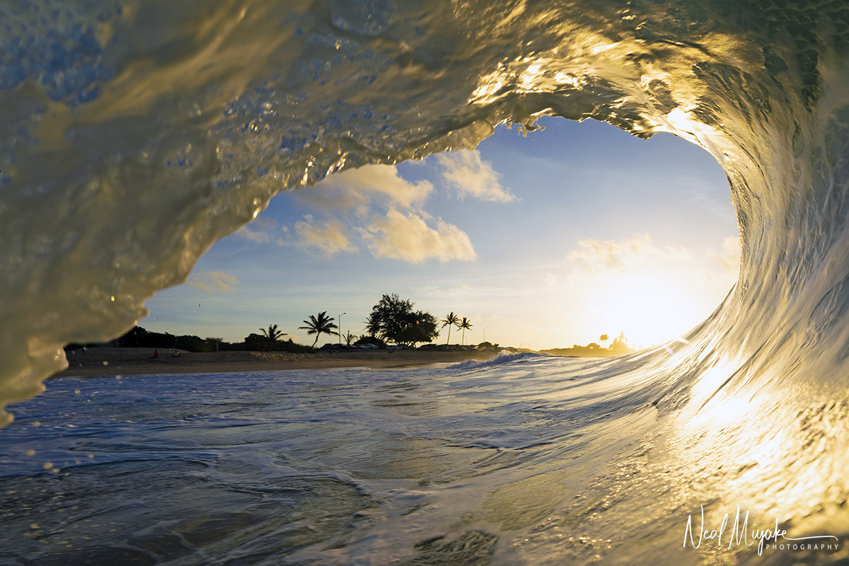 Golden Eye, Sandy Beach, 7/2/22.