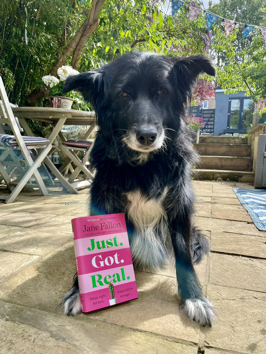 Bratgirl66's tweet photo. Someone is happy the sun has come out. And things #JustGotReal arrived! 💗🌺@JaneFallon  @SirGuinnessB https://t.co/u7oRxcyCJ5