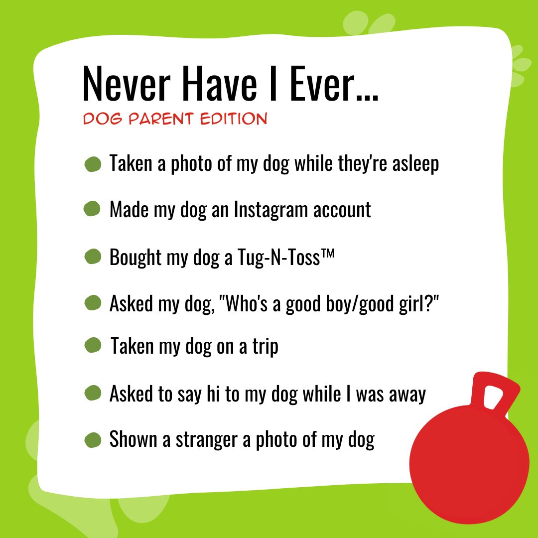 Give yourself a point for the things you have NEVER done, then let us know your score below! 🐾 #NeverHaveIEver #dogsoftwitter
