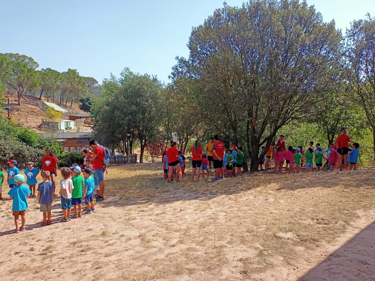 caemanresa's tweet photo. #CasalsEstiu Ens ho passem d'allò més bé als Casals d'Estiu de #LaXarranca🌞Aquesta setmana hem anat a la Granja Escola Centre d'Apropament de la Natura de #Navàs amb el #Bitxac per interactuar amb els animals! 

ℹ️ https://t.co/zpGR2EHAmK https://t.co/lQ5wfBZ9ul