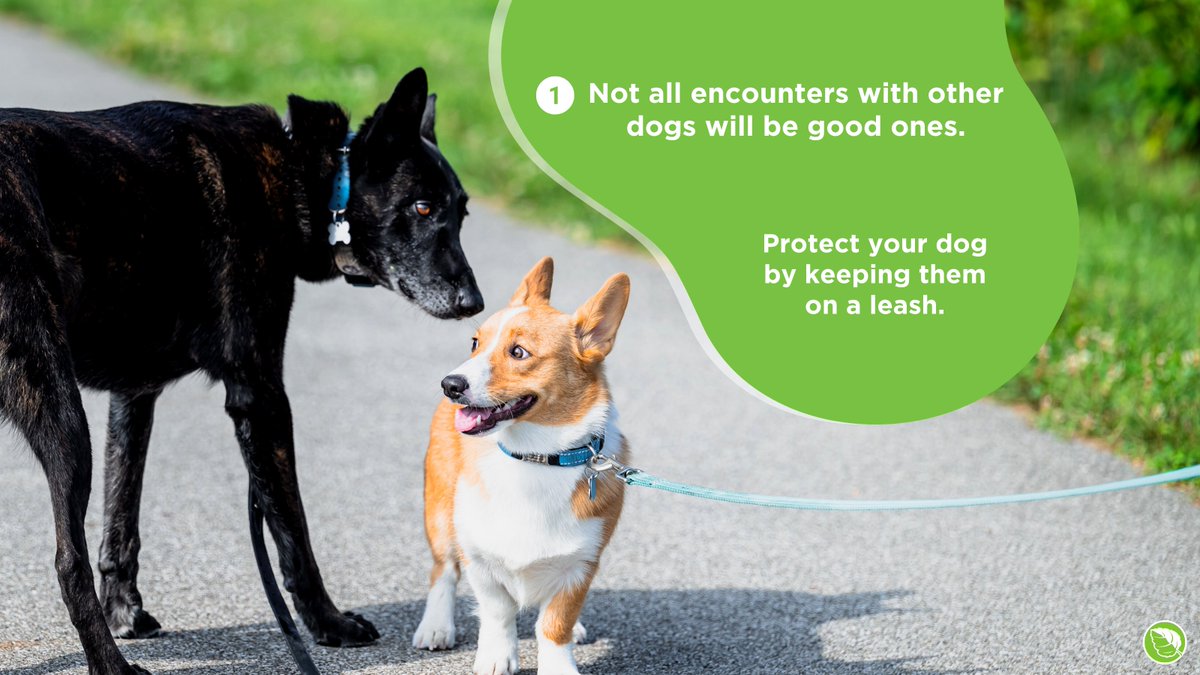 ProvoParks's tweet photo. We love dogs, but not the waste they leave behind. Please clean up after your pets to help us maintain the safety and beauty of our parks! https://t.co/egockQlEzC