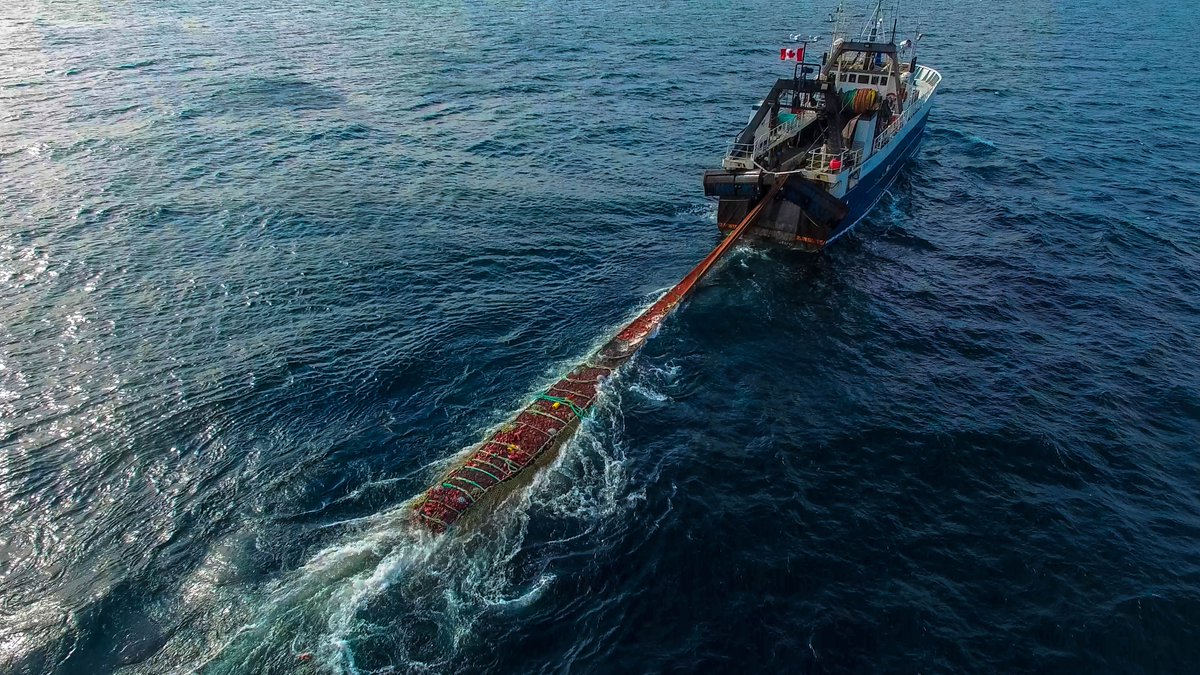 SeaBOS (Seafood Business for Ocean Stewardship) launched its first progress report at the <a href="/UN/">United Nations</a> Ocean Conference 2022.🌊🌏 

SFP was highlighted for our work ensuring #traceability &amp; #transparency - specifically our partnership with <a href="/thaiuniongroup/">Thai Union Group</a>. 🔍🐟

seabos.org/seabos-launche…