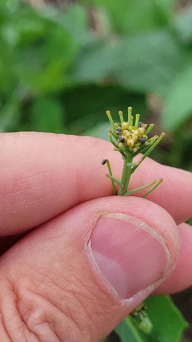 Alan Mittelstadt tweet media