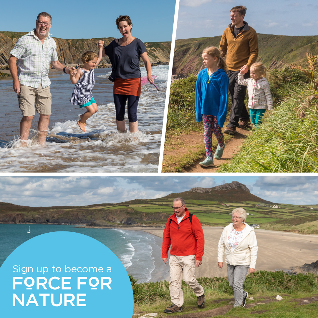 🚶 Walk 70 miles / complete 70 sea swims 
📅 7 months 
 📍  Whenever you want, wherever you want 
🌳 Become a fundraising hero and help us to protect our National Park

Contact us via support@pembrokeshirecoasttrust.wales to find out more or to get involved #conservation #nature