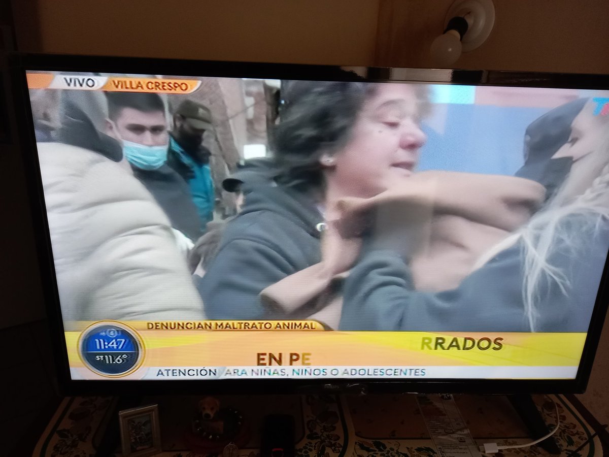 TvVallez's tweet photo. @elcampito Agrego otro #criadero esta vez de chihuauas 150 perritos !!!😥😥😥🐕🐕🐕🐕🐕 en un dpto hacinados en condiciones #DEPLORABLES 😭
GRACIAS OTRA VEZ @elcampito 
Esto es hoy mierc  #6Julio 10hs
Otra vez #COMPRAN se vendian a 100mil pesos!! ¿Q no entienden la salud de las hembritas? https://t.co/t8wyFHLzd0