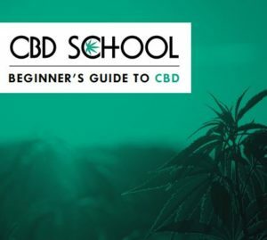 SushiCat12's tweet photo. How Long Does CBD Oil Take to Work For Anxiety? https://t.co/a65BuKuLdV