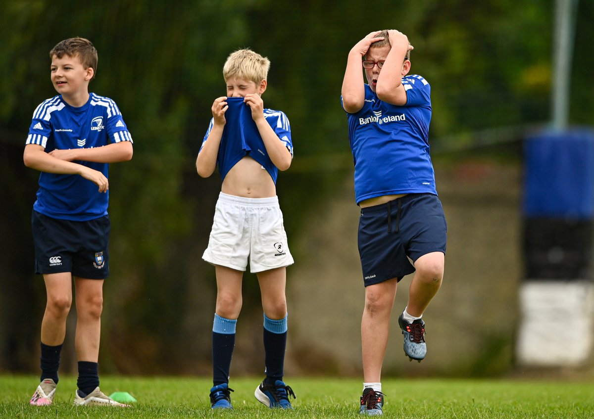 Leinster Domestic tweet media