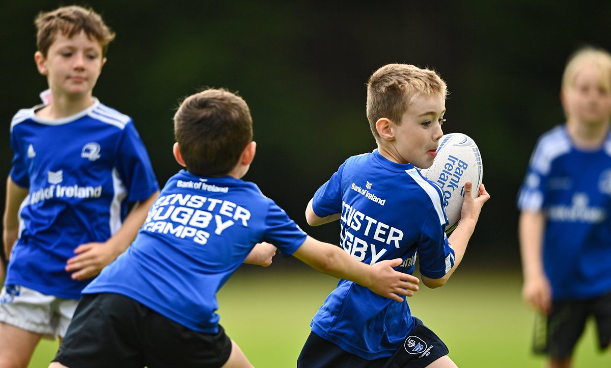 Leinster Domestic tweet media