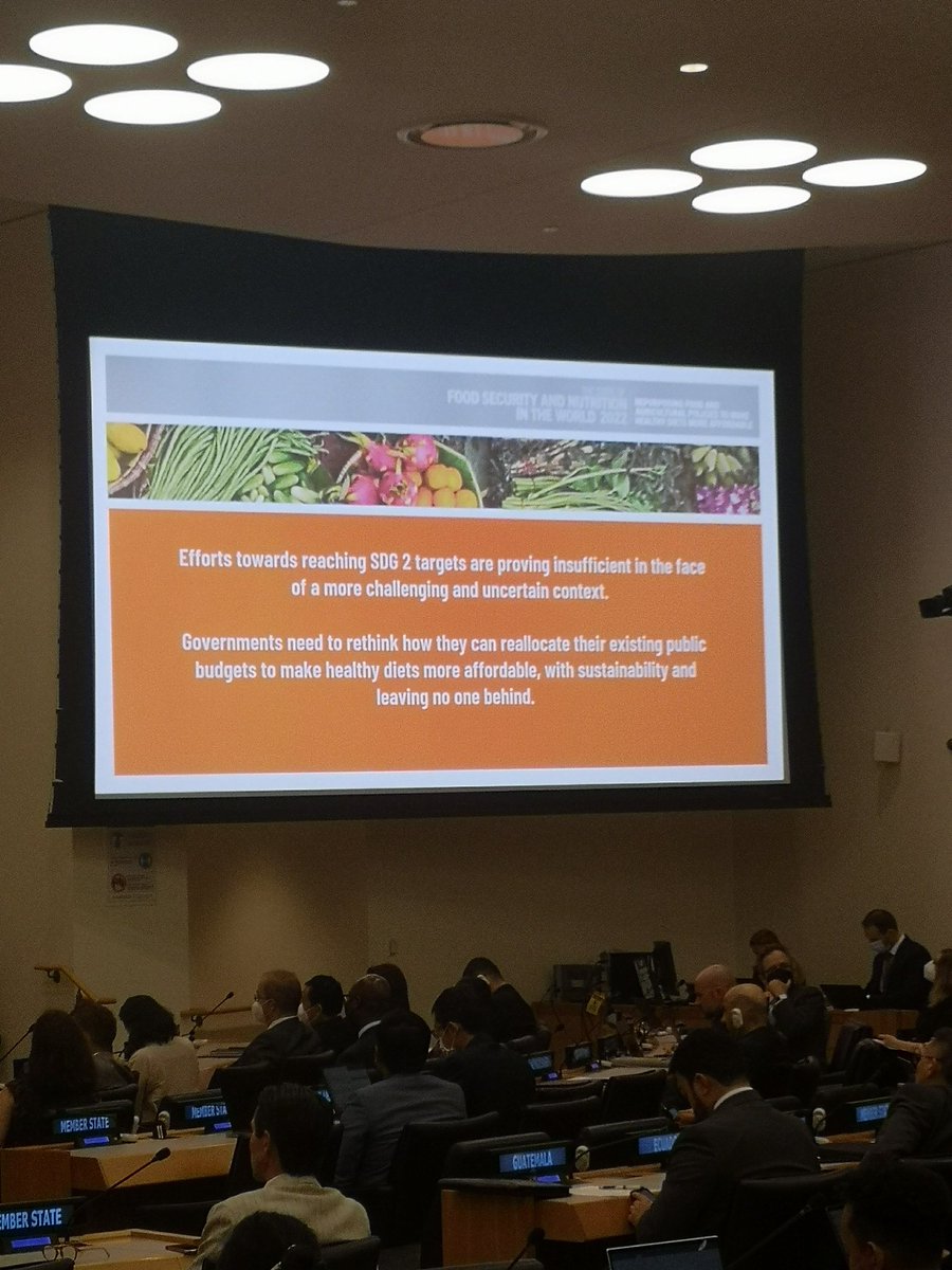 EmmaMerikanto's tweet photo. I think it is insane that the production of meat and sugar still, in 2022, receive more subsidies than vegetable/fruit farmers. #endhunger #youthdelegate #HLPF2022 #FAO #nutrition https://t.co/FEViMKtA9Y