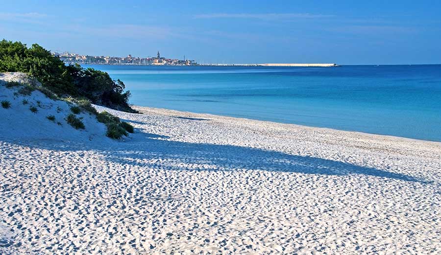 Visitamos las playas 🐳cerca de #Alguer en el noroeste de la costa de la isla de #Cerdeña en Italia. Enamorate de sus aguas cristalinas 🌊y turquesas. Esta zona de costa es conocida como la #rivieradelcorallo.@SardegnaTurismo @Italia_espanol enamoradosdeitalia.com/cerdena-playas…
