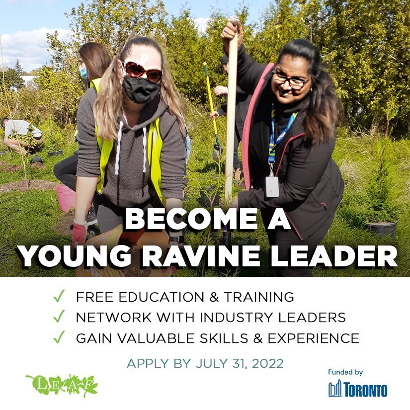 DYK: #Toronto is home to over 150 ravines constituting the largest ravine system in any city in the world? 🌲💧

If you or someone you know is looking to learn more about our City's ravine system, <a href="/leaf/">LEAF</a> has started their The Young Ravine Leaders program:

yourleaf.org/young-ravine-l…