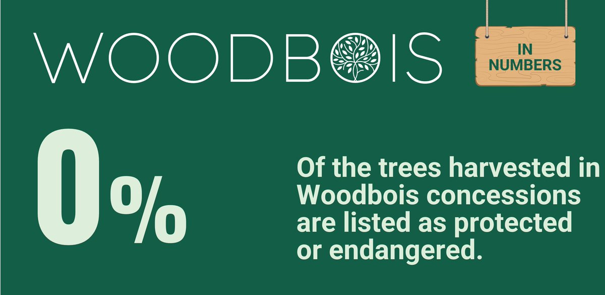 WoodboisLtd's tweet photo. The illegal timber industry is the world’s third largest criminal sector.
At #Woodbois we carefully quantify and locate appropriate forest resources with particular emphasis on protecting natural biodiversity
#Sustainableforestry #woodboisinnumber #balanceseeker #wednesdaywisdom https://t.co/srQSNBOQxb