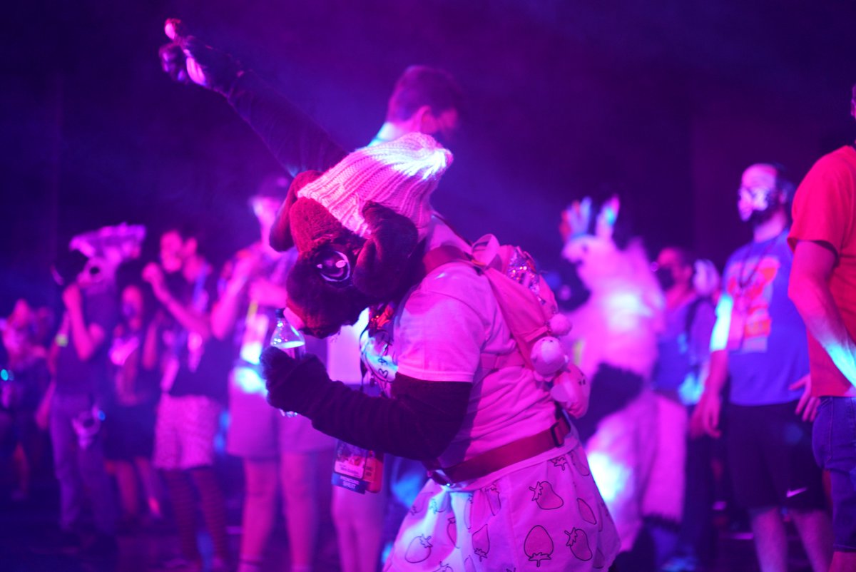 AbbySits's tweet photo. AnthroCon Photos that I took while in photo Abby mode. /1 https://t.co/tYR0mzqcuk