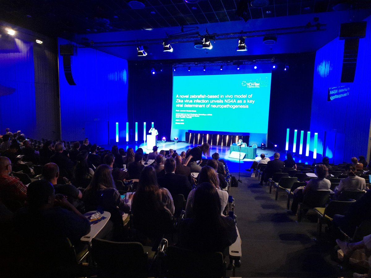 Fantastic pitch at #HCVflavi2022 from @ChatelChaixLab on a brand new in vivo model of ZIKV pathogenesis! This is gonna change the playground to study viral and cellular determinants of disease...