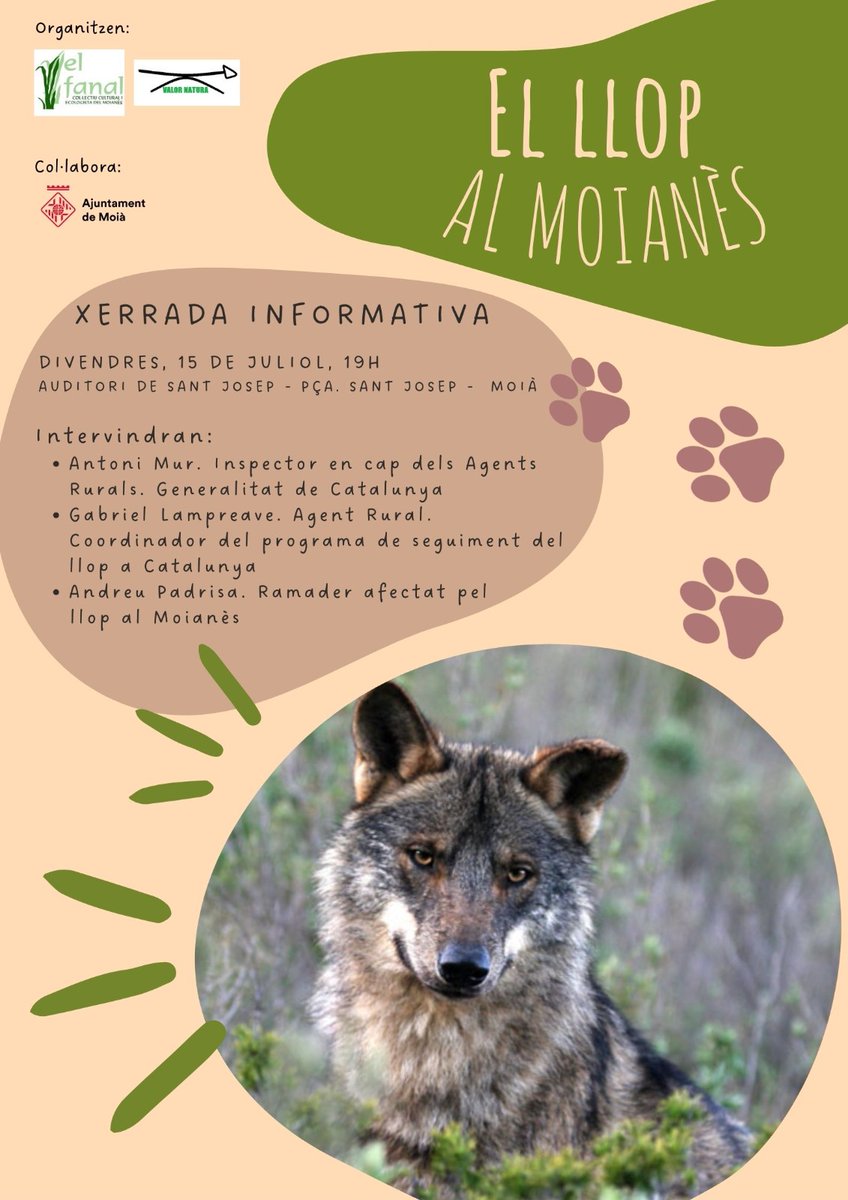 Si voleu saber mes sobre la presencia de LLOP al #moianes, divendres 15 de juliol us ho explicarem