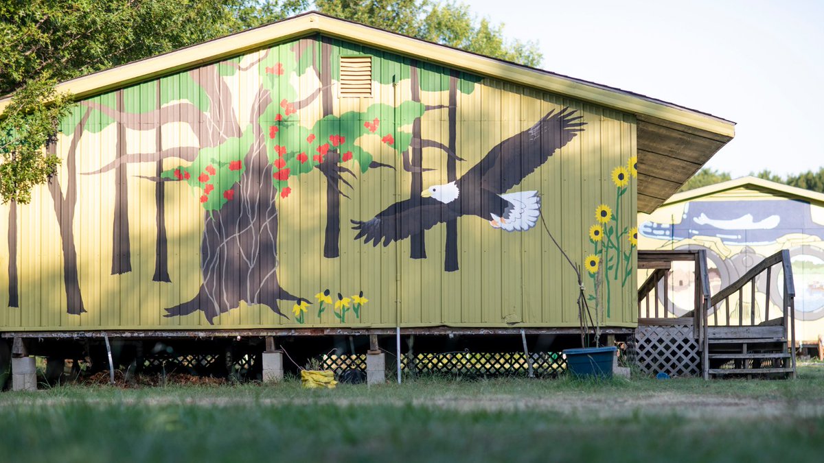 University of North Texas on Twitter "UNT students in Alicia Eggert's