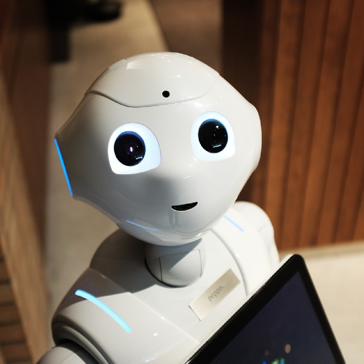 Dudley Libraries tweet media