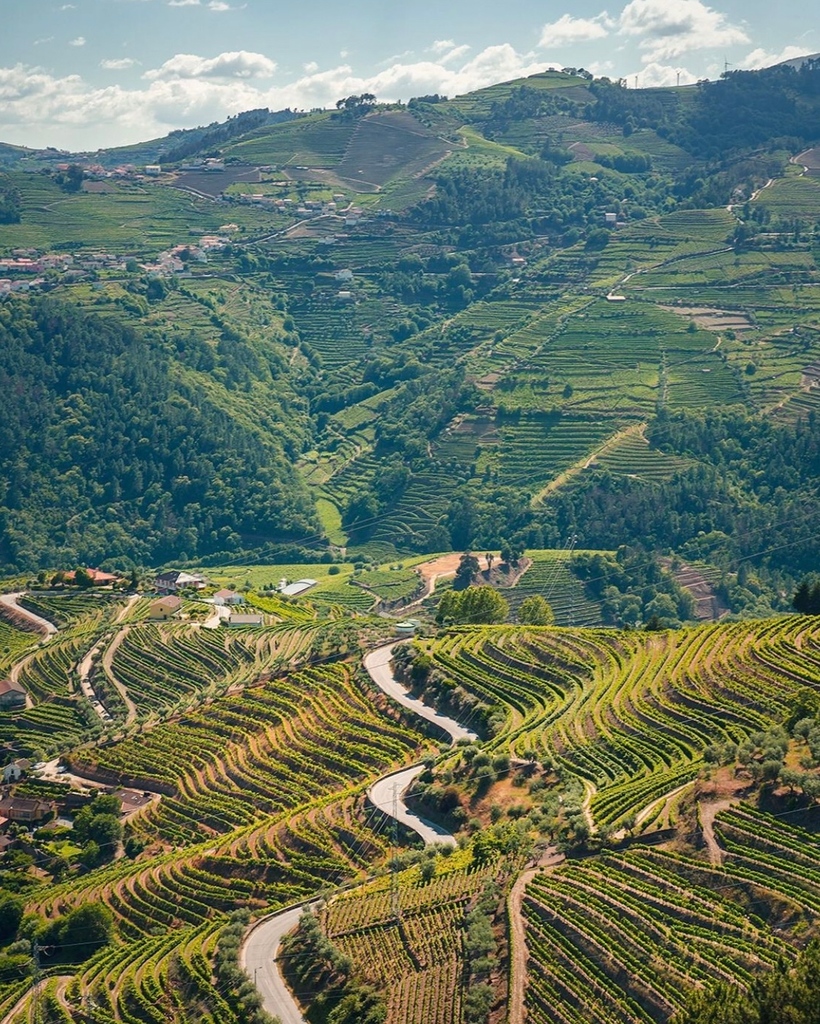 The dreamy Douro Valley awaits you. Follow the link to book your trip of a lifetime. winerist.com/wine-tours/Por… 📸 @twofindaway #dourovalleyregion #portugal #dourovalley #douro #douroriver #dourolovers #dourowine #altodourovinhateiro #riodouro #ilovedouro #porto #visitportugal