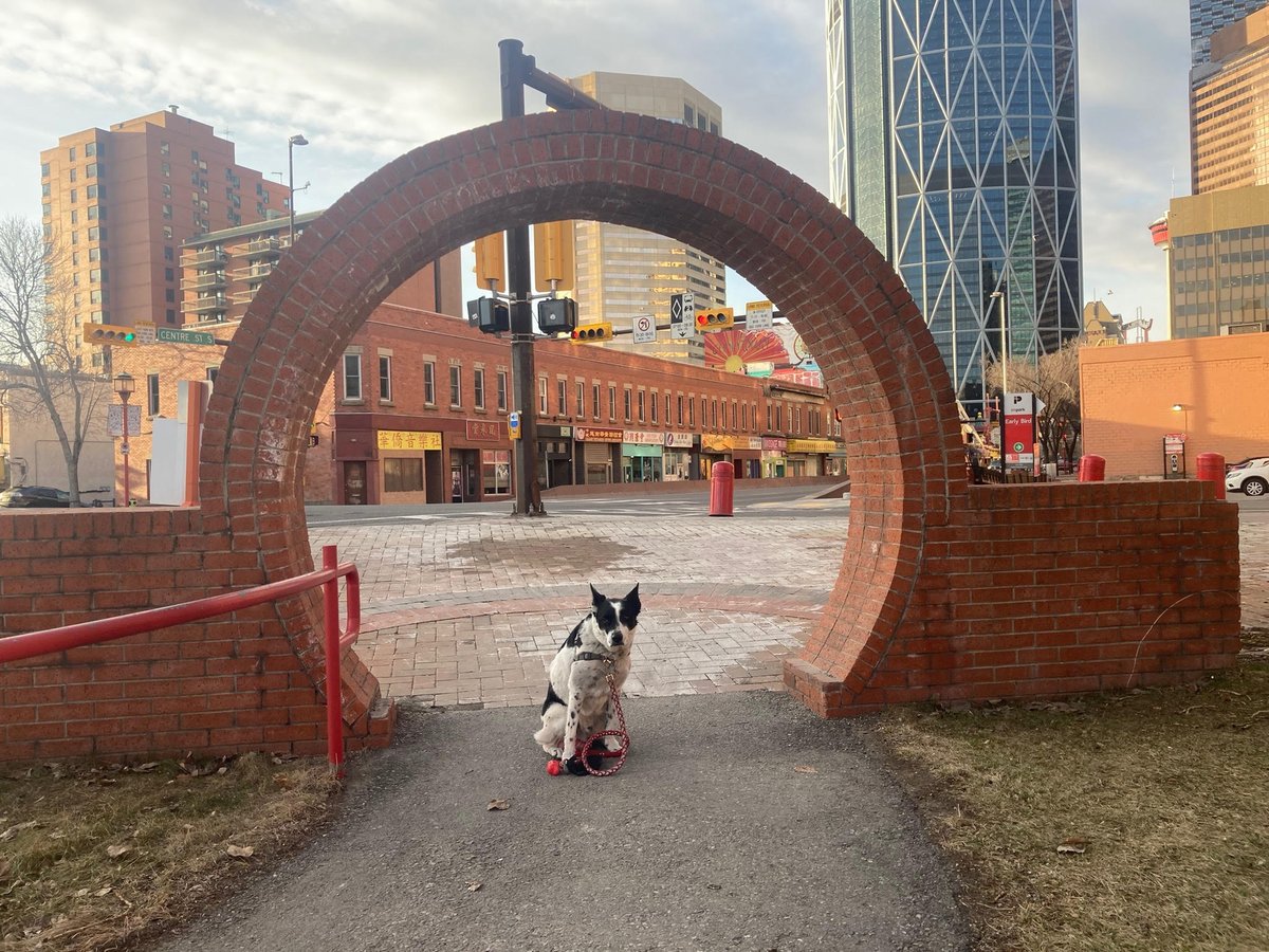 F.L. Feimo (@ffeimo) on Twitter photo I participated in the digital Selfie Contest for #HistoricPlacesDays! Enter for a chance to win $1000! Details at historicplacesdays.ca/contests-selfi…
<a href="/CtownT2G/">街坊撐華埠 ChinatownT2G📍 | @ctownt2g.bsky.social</a> <a href="/nationaltrustca/">National Trust for Canada</a>
#EveryPlaceAStory #CanadianHistory #CdnHeritage
#HistoricPlaces #VisitAndDiscover Canton Block, Calgary Chinatown I participated in the digital Selfie Contest for #HistoricPlacesDays! Enter for a chance to win $1000! Details at historicplacesdays.ca/contests-selfi…
<a href="/CtownT2G/">街坊撐華埠 ChinatownT2G📍 | @ctownt2g.bsky.social</a> <a href="/nationaltrustca/">National Trust for Canada</a>
#EveryPlaceAStory #CanadianHistory #CdnHeritage
#HistoricPlaces #VisitAndDiscover Canton Block, Calgary Chinatown