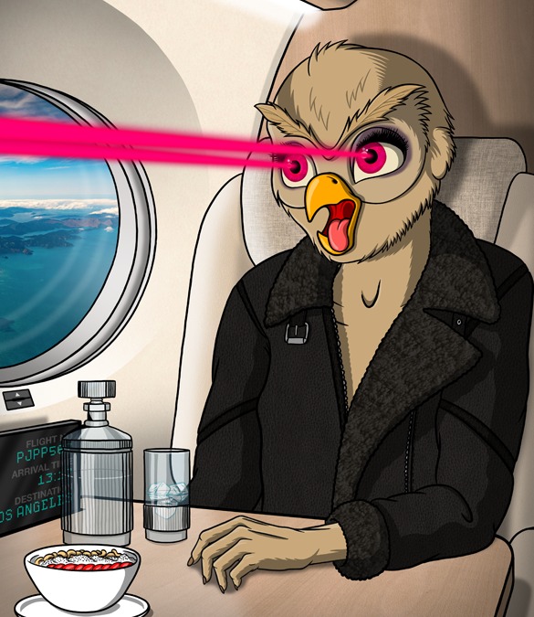 Private Jet Pyjama Party tweet media