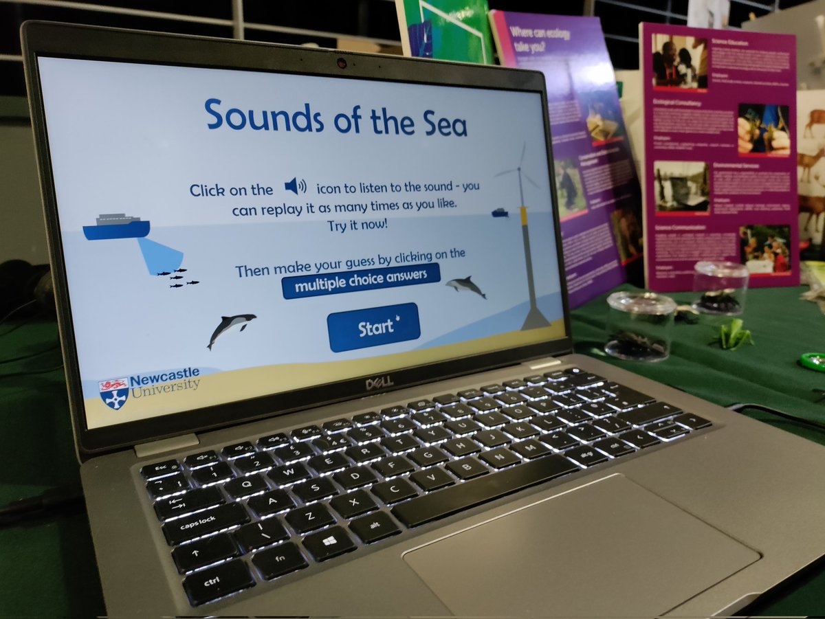 sarah7dickson's tweet image. Inspiring day at #STEMFestNetZero with @BritishEcolSoc and @rtcstem sharing my role as a marine mammal scientist and my @SciencesNCL research into dolphins and porpoises at offshore wind farms. Great to engage so many North East students in ecological and net zero #STEM careers!