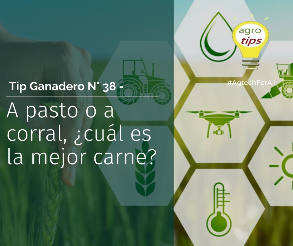 agrotips_'s tweet photo. Tip Ganadero N° 38
https://t.co/ne31ley0X9
#AgTechForAll  #AgTech #AgriculturaDePrecisión #GanaderíaDePrecisión https://t.co/ptqOg9YikS