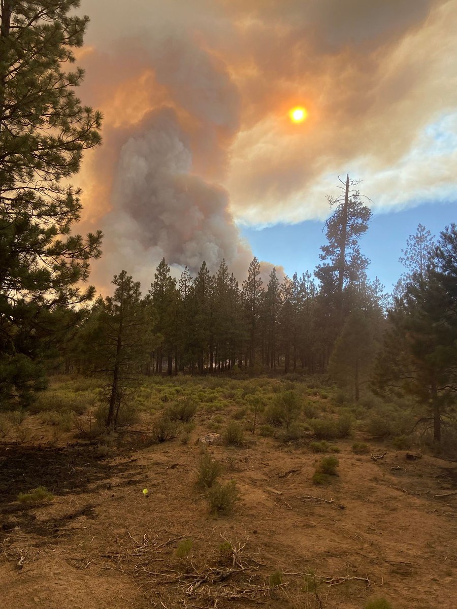 nature_oregon's tweet photo. On July 6, 2021, a wildfire started by lightning, burned for 39 days and charred 413,000 acres, including land that is home to members of The Klamath Tribes & TNC's Sycan Marsh Preserve. As we reflect on the past year, we know that there is still work to be done (๐งต) https://t.co/isWshYz55l