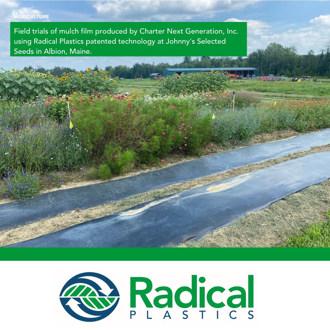 Radical Plastics On Twitter Field Trials Of Mulch Film Using