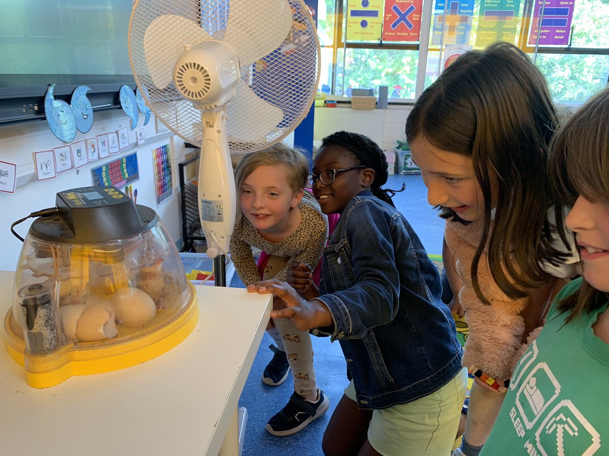 Miss Mackenzie 5M tweet media