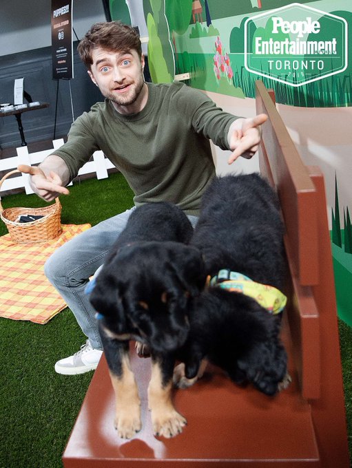 Dan Radcliffe Japanさん がハッシュタグ ダニエルラドクリフ をつけたツイート一覧 5 Whotwi グラフィカルtwitter分析