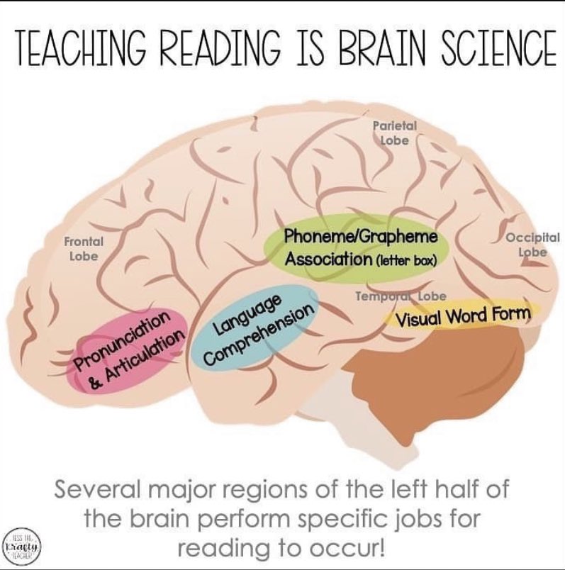 DyslexiaDemand's tweet photo. Repost // @tessthekraftyteacher
“Teaching Reading IS Brain Science”
🧠
#dyslexiaadvocate #dyslexiaawareness #scienceofreading #sor #CALT #teachingreadingisrocketscience https://t.co/4fzUMnjhC4