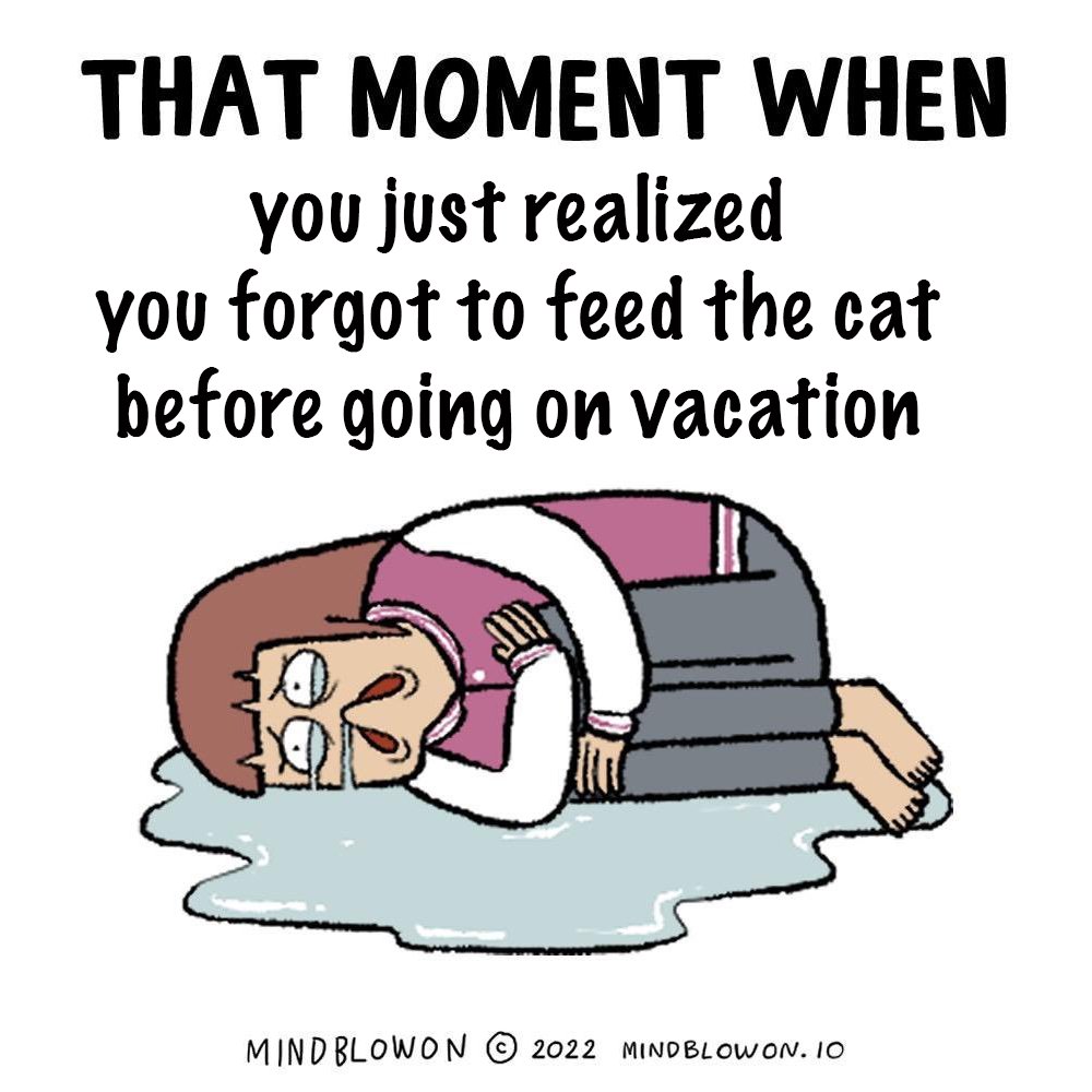 kikimeow.eth tweet media