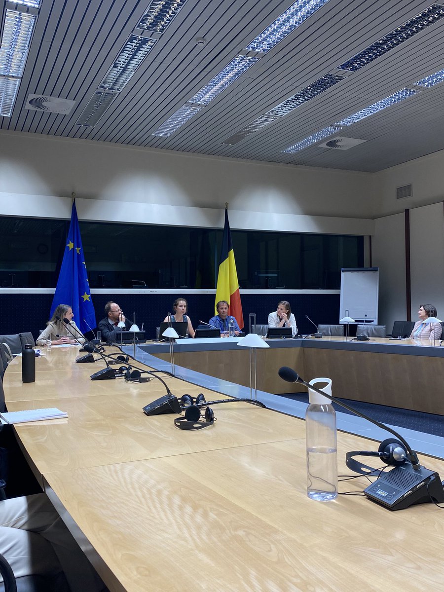 Thank you UNRIC &amp; <a href="/BelgiumMFA/">🇧🇪 Belgium MFA</a> <a href="/BelgiumDGM/">🇧🇪 DG Multilateral Affairs</a> for this exchange over « Our Common Agenda: Empowering youth and protecting the planet »🙏

We were present with <a href="/BelgiqueApnu/">APNU Belgique</a> 🇺🇳to raise our voice &amp; discuss on how youth can help💪 

A pleasure to represent 🇧🇪 youth and support the MFA!