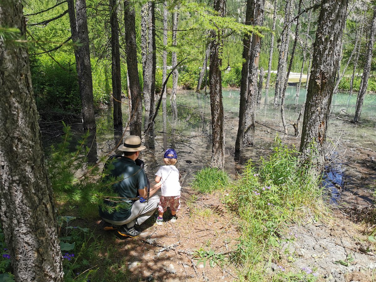 CharlotteMichi's tweet photo. I love spending my free time in the mountains. Especially in summer. I am lucky because from where a live Alps are very close! Pictures of me and my family camping at the foot of the Mont Blanc in Courmayeur. Share your rural summer as well! #MyRuralHolidays @tex_tour https://t.co/rMmCwke8Z6