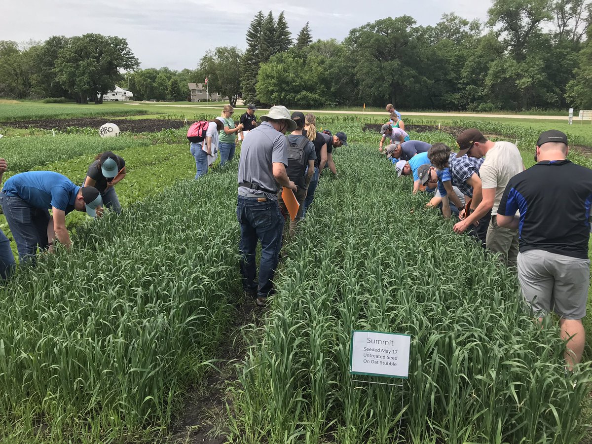 David A. Kaminski tweet media