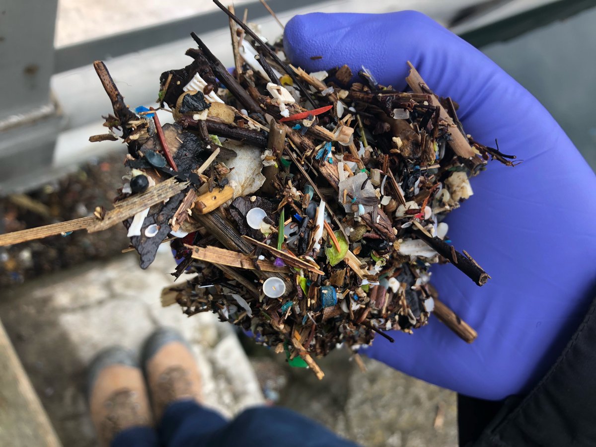 We are working on zero pellet loss in collaboration with industry and government. Interested in learning more? Check out a Q&amp;A with <a href="/EdenHataley/">Eden Hataley</a>! #OperationSweepTheCreek canadianchemistry.ca/qa-with-u-of-t…