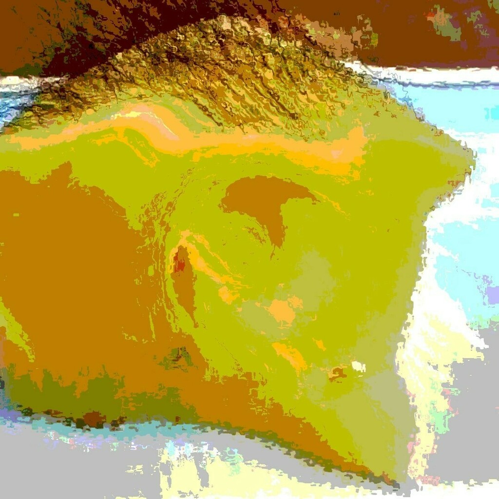 kursednet's tweet photo. #KURSED Collection https://t.co/69jWgbj6fh https://t.co/vhk8bD0wLU
