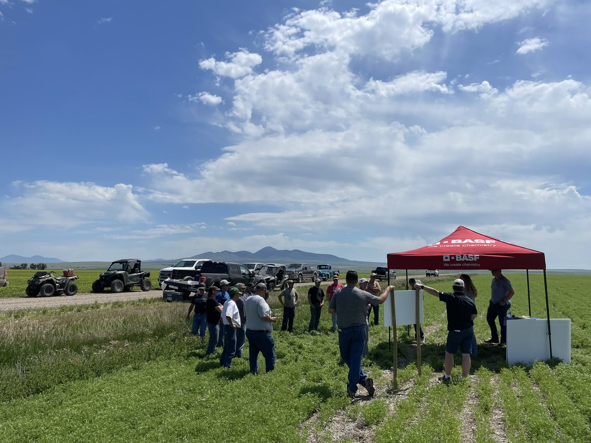 lindsay_sj's tweet photo. 2nd Stop on the @coreag_warner poker run was with @BASFAgSolutions. Thank you @canucker_la17 @ashbodie for for a good chat on everything BASF. https://t.co/bs8zKzk3ej