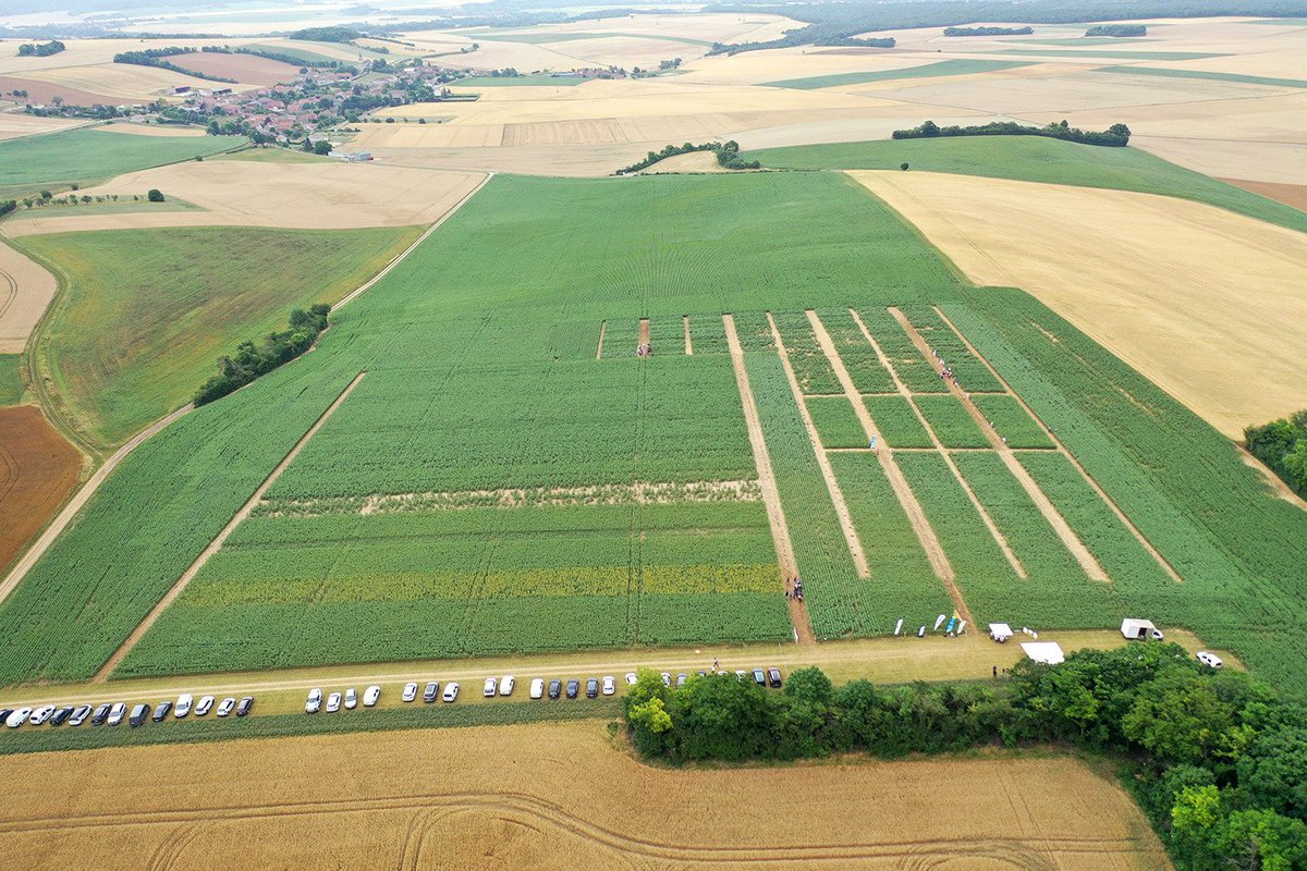 Alban Bigeard - Adama France tweet media