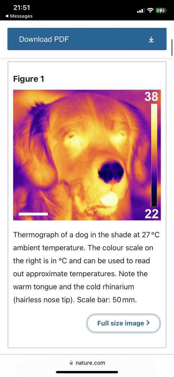 Megs per mL tweet media