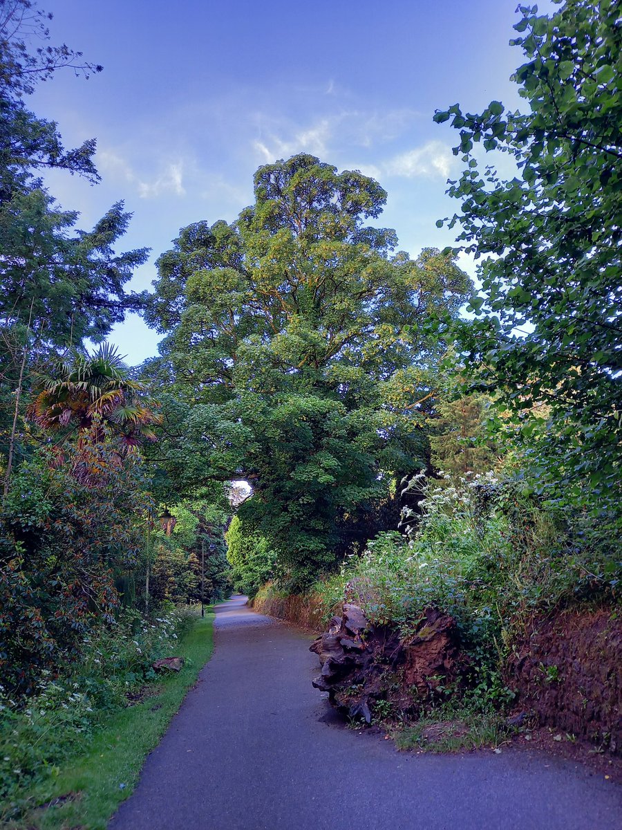 DrJaneRSmith's tweet photo. Lovely way to finish the @ExeterMed #ExeterARE with a guided walk from our local tour guide @ReburnCharlotte around the @UniExeCornwall Penryn campus gardens and orchard https://t.co/E1ZupEsqkt