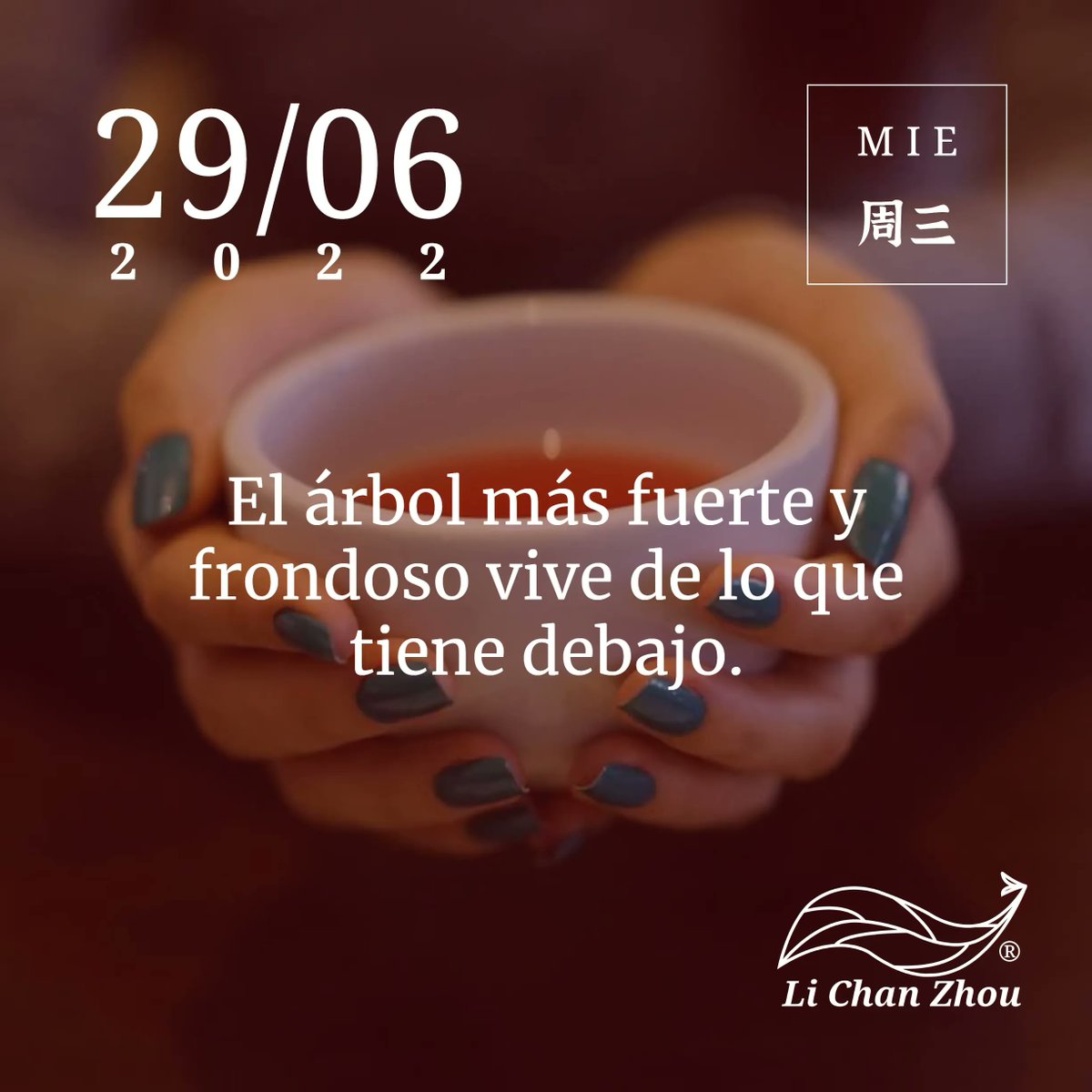 LiChanZhou's tweet photo. ¡Buen día! Para construir un edificio alto, primero hay que tener una base sólida.

Trabajamos de lunes a sábado
09:30 a 15:00
17:00 a 20:00

📍18 de Septiembre 402, Arica
📞+56 58 223 1346 (WhatsApp)

#LiChanZhou #DisfrutaTé #Té #AmanteDelTé #LaHoraDelTé #TeaLover #TeaTime https://t.co/eW7cM7Iuy2