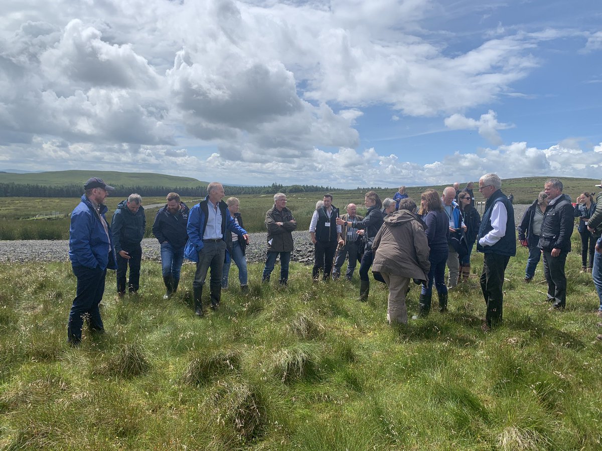 David Linton tweet media