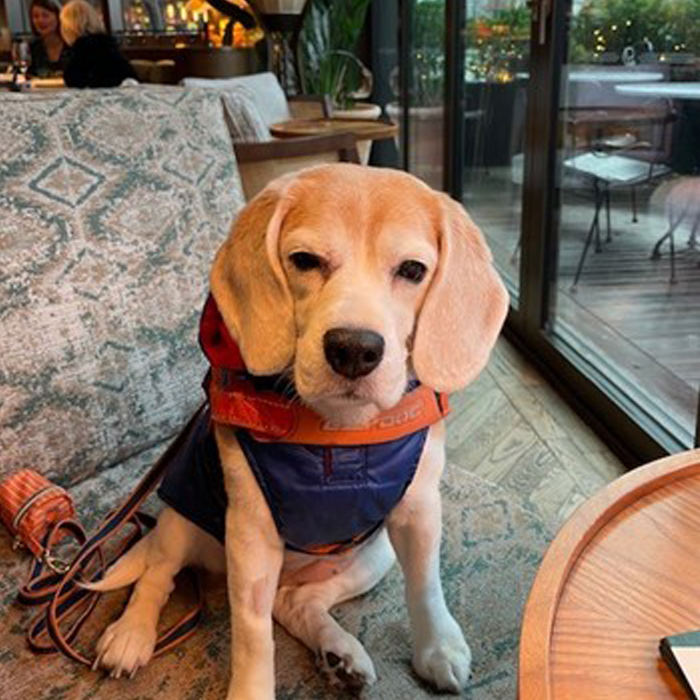 Fitzpatrick Referrals tweet media