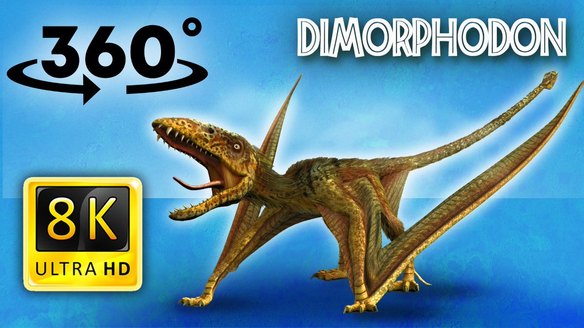 ViperaVR_360's tweet photo. With our VR Jurassic Encyclopedia series, you can learn unknown dinosaur facts in 360 videos! 🦖🤩 Today we will tell you a little bit about the Dimorphodon dinosaur 🔥🙂

✅ Link: https://t.co/R2ZcR7DCrH✅

#vr #virtualreality #dino #dinosaur #prehistoric #creatures #facts https://t.co/wIVxRNTuzS