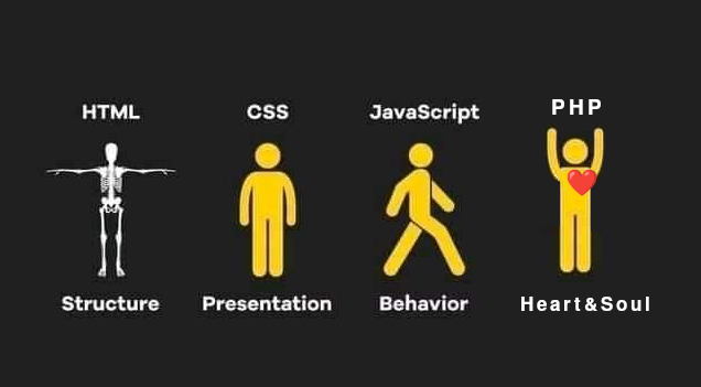 Peter Kokot tweet media